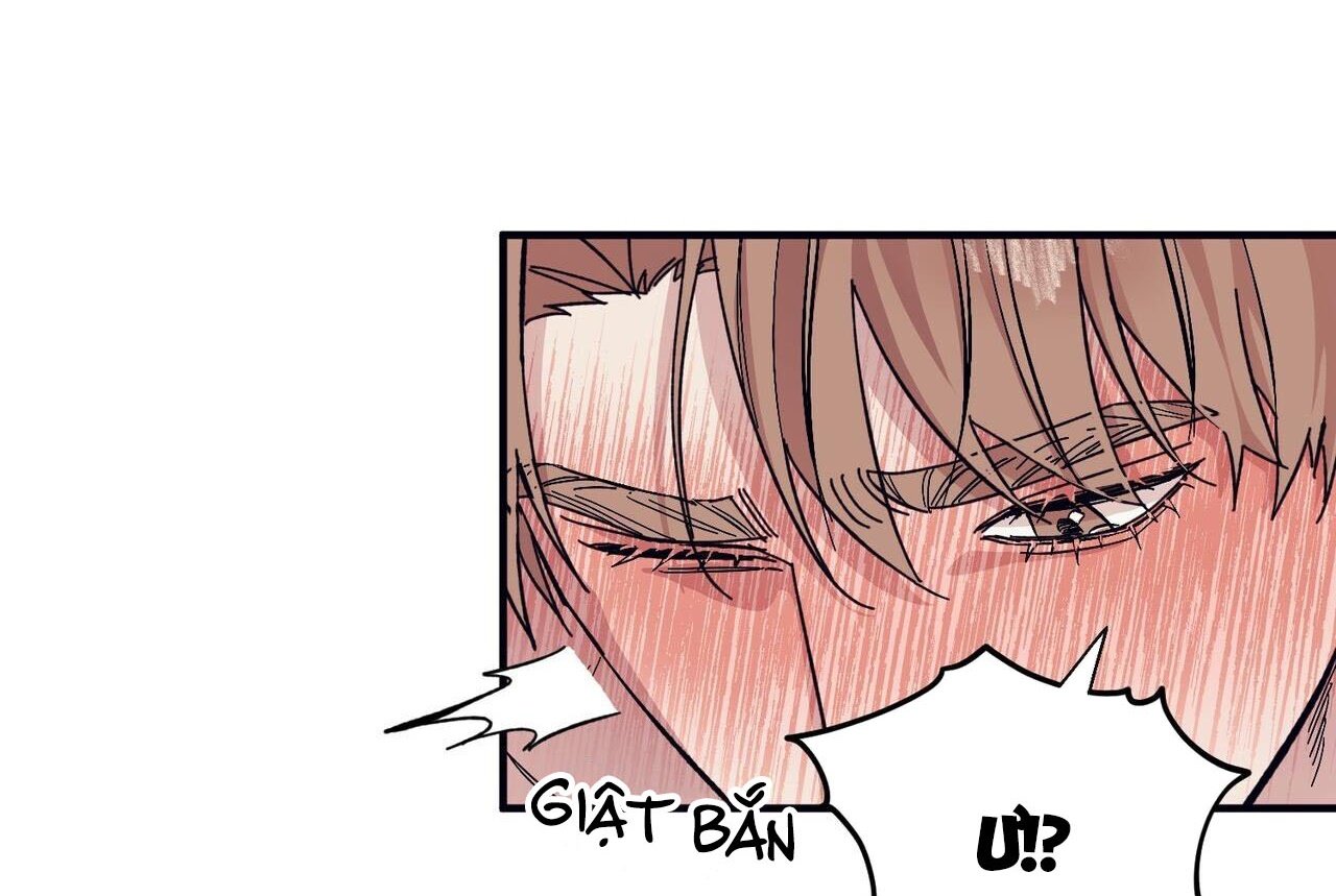 chàng dâu nhà họ kang chapter 46 60