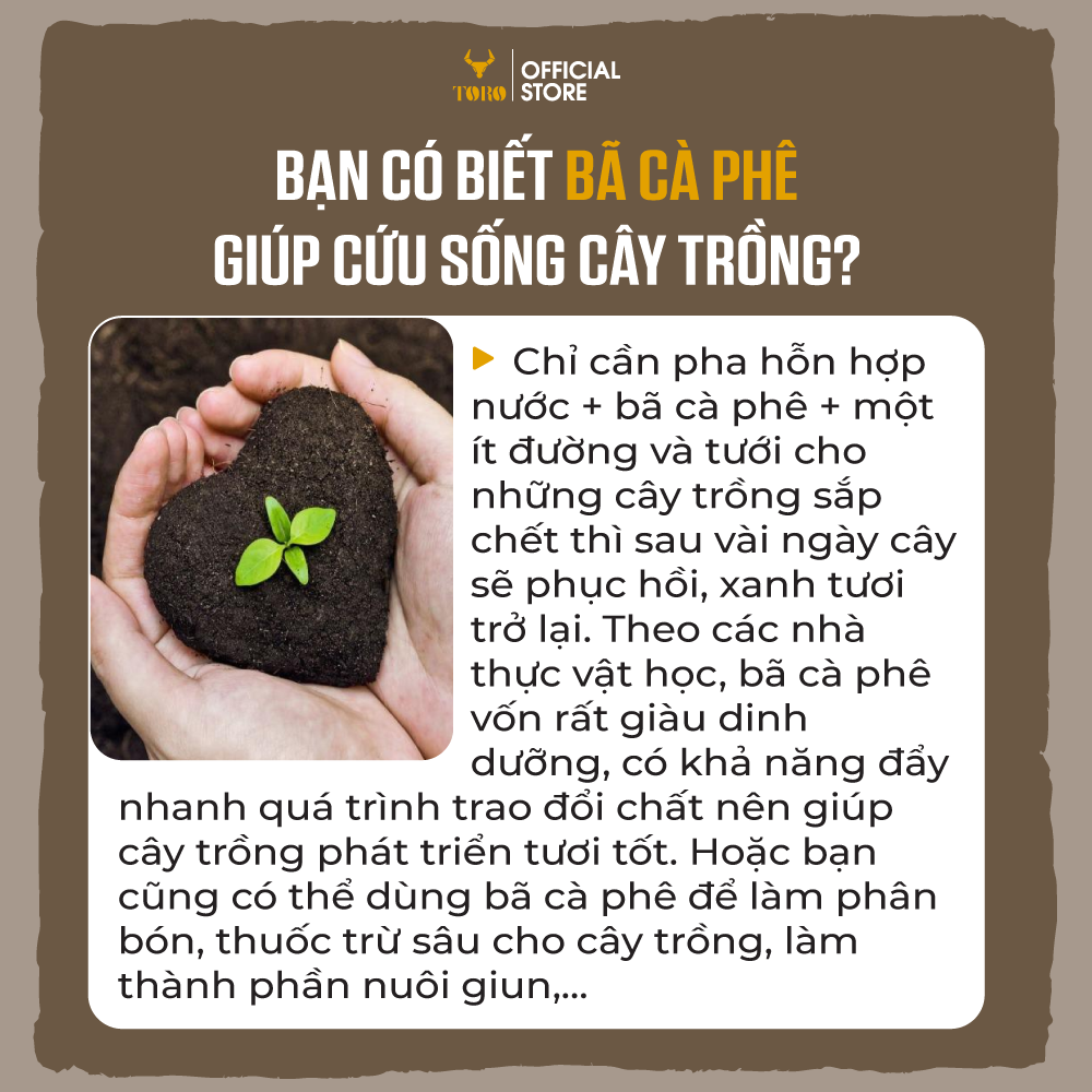 Cà Phê Bột Toro Awake Nguyên Chất 100% | TORO FARM