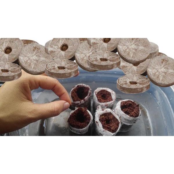 100 viên nén ươm hạt giâm cành - viên nén xơ dừa ươm hạt