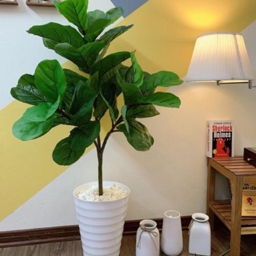 Chậu nhựa trồng cây hoa, cây giả cao cấp cao 40cm, 30cm, 20cm hình tròn, hình vuông