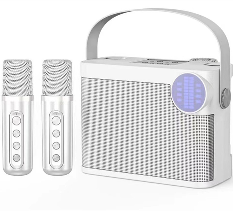 Loa Karaoke Bluetooth Mini YS214 Tặng Kèm 2 Micro-HT