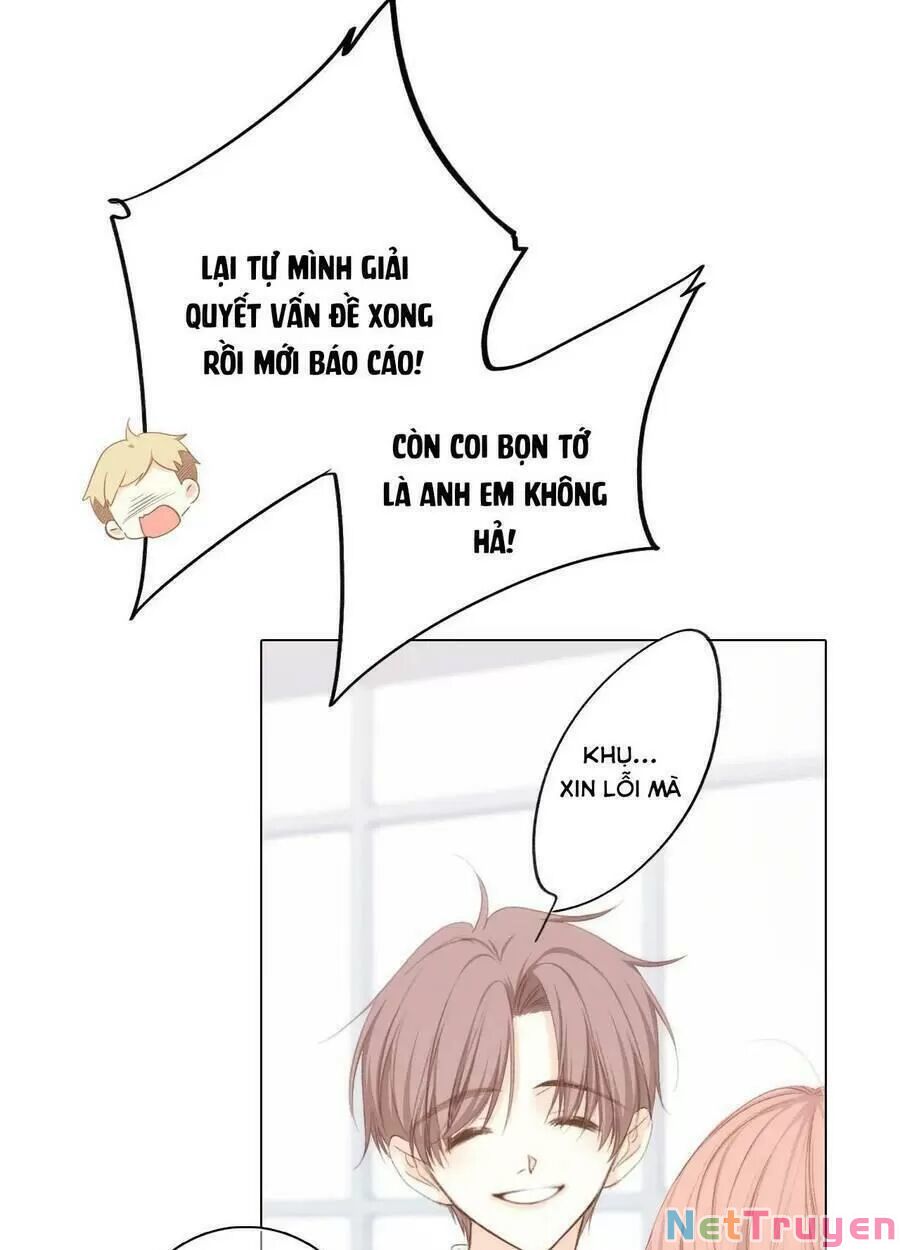 con tim rung động 2 chapter 145 23