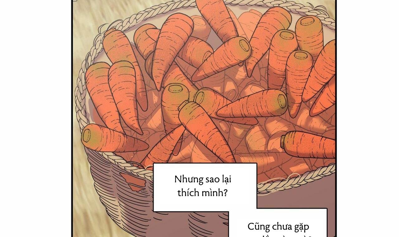 không chốn yêu đương chapter 65.5 19
