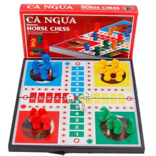 Bộ Trò Chơi Cá Ngựa Nam Châm To