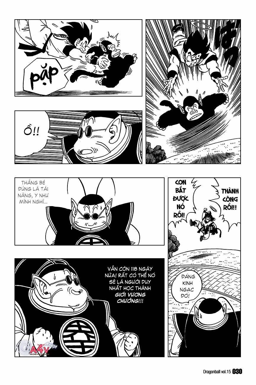 dragon ball - bảy viên ngọc rồng chapter 211 11