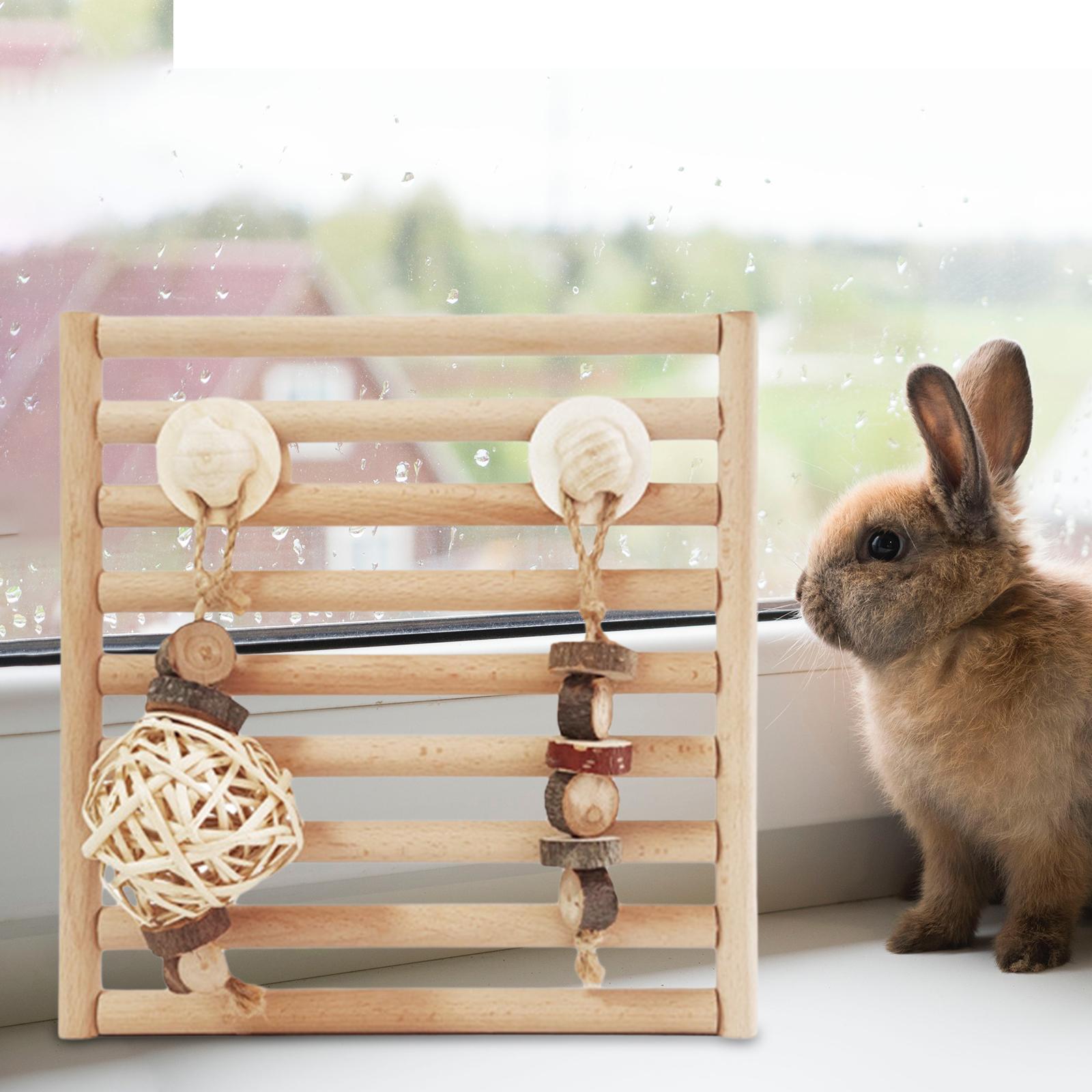 Rabbit Chew Toys, Wooden Doors, Exercise Biting Hamster Chew Toys for Bunny Small Animals