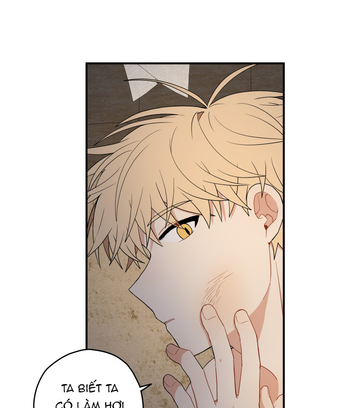 đường hoa liên kiều rơi chapter 15 20