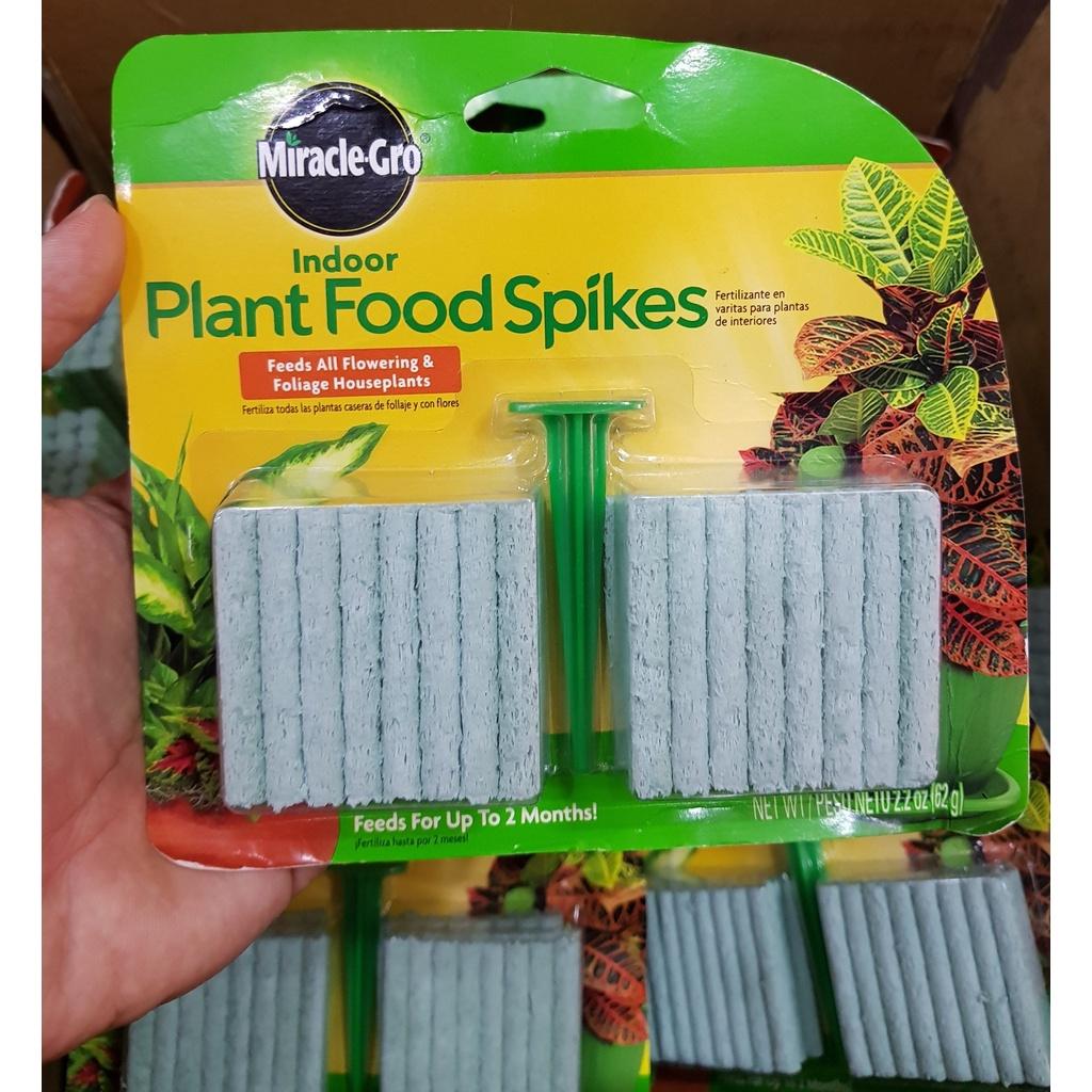 Phân que Plant Food Spikes 48 que, NPK 6-12-6 Nhập khẩu Mỹ rất tốt cho Lan và cây cảnh, tan chậm 2tháng