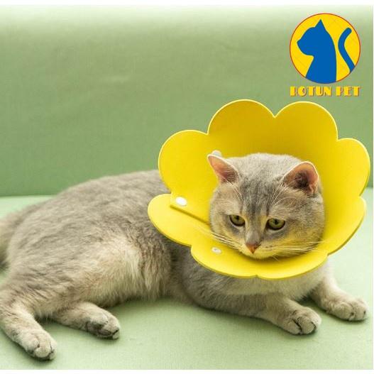 LOA XỐP ĐEO CỔ CHỐNG CẮN CHỐNG LIẾM VẾT THƯƠNG BẢO VỆ CHÓ MÈO HÌNH BÔNG HOA DỄ THƯƠNG