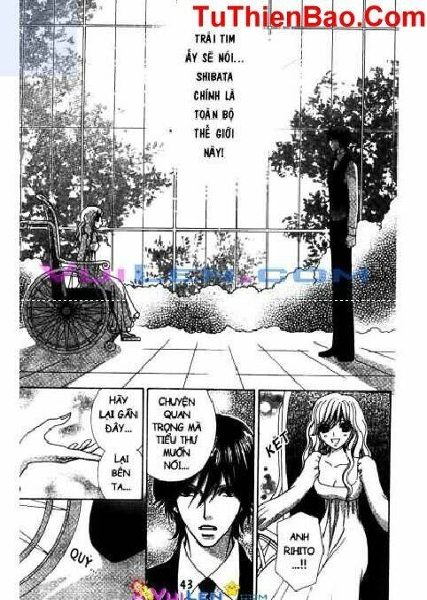 chàng quản gia của bé mei chapter 4 42