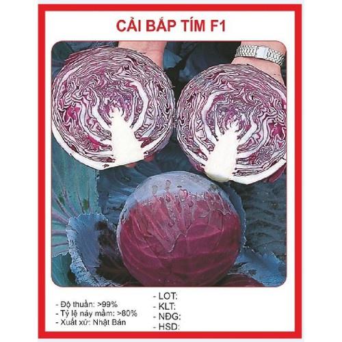Hạt giống Hạt giống Cải bắp tím Kazo F1 – 0.5Gram