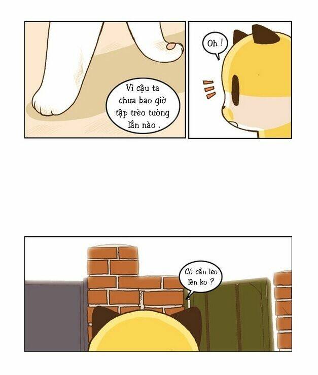 papi nyang chapter 15 2