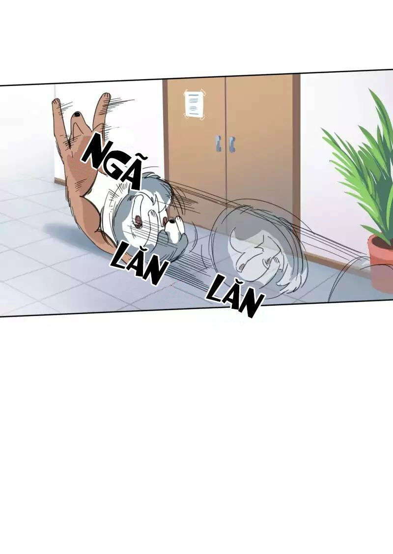 lumine - cội nguồn ánh sáng chapter 19 32