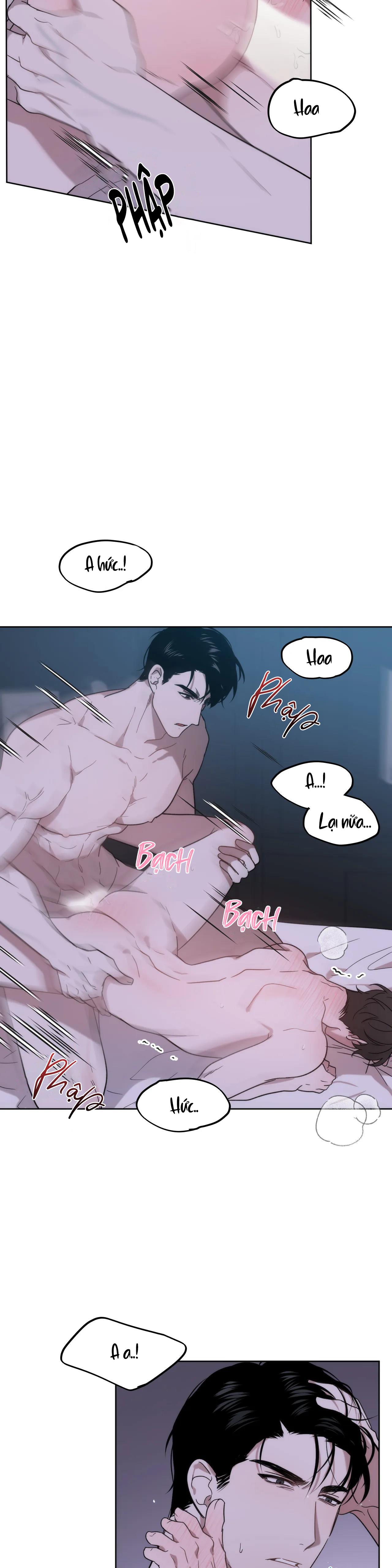 đã hiểu chưa chapter 12 16