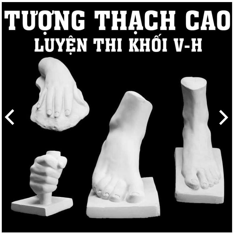 Bộ 4 sp TƯỢNG THẠCH CAO ÔN THI. BỘ TƯỢNG 4SP THẠCH CAO ÔN THI KHỐI V H