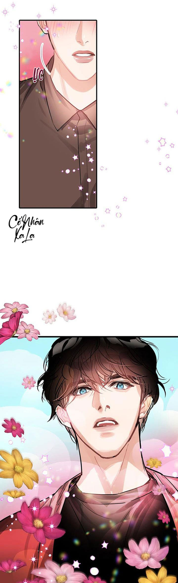 only one chapter 6 19