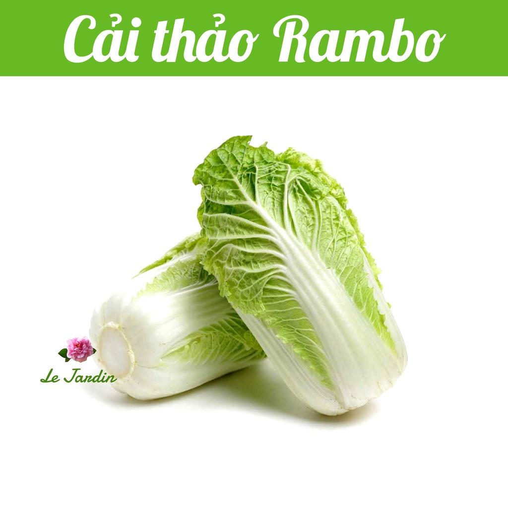 Hạt giống cải thảo Rambo gói 0,5gr - Chịu nhiệt kháng bệnh tốt