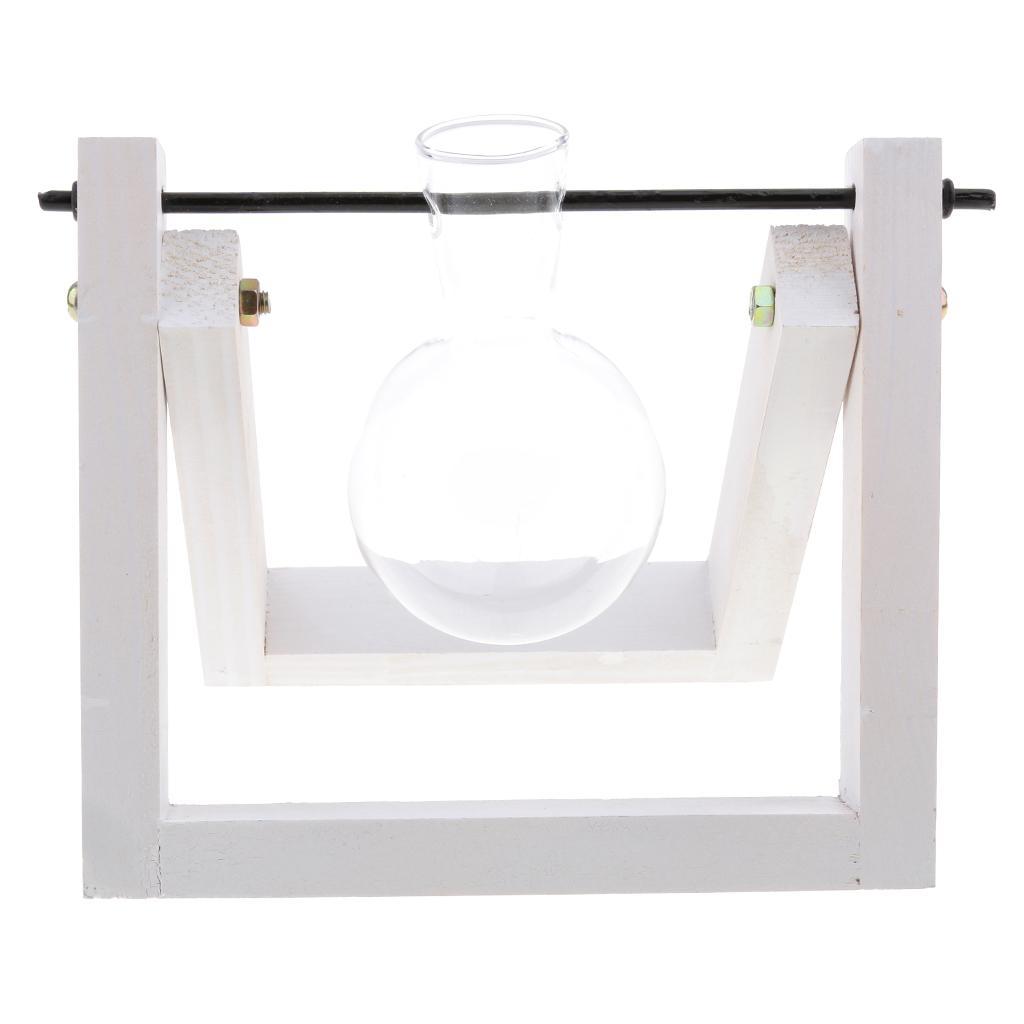 Vintage Glass Tabletop Hydroponic Flower Vase