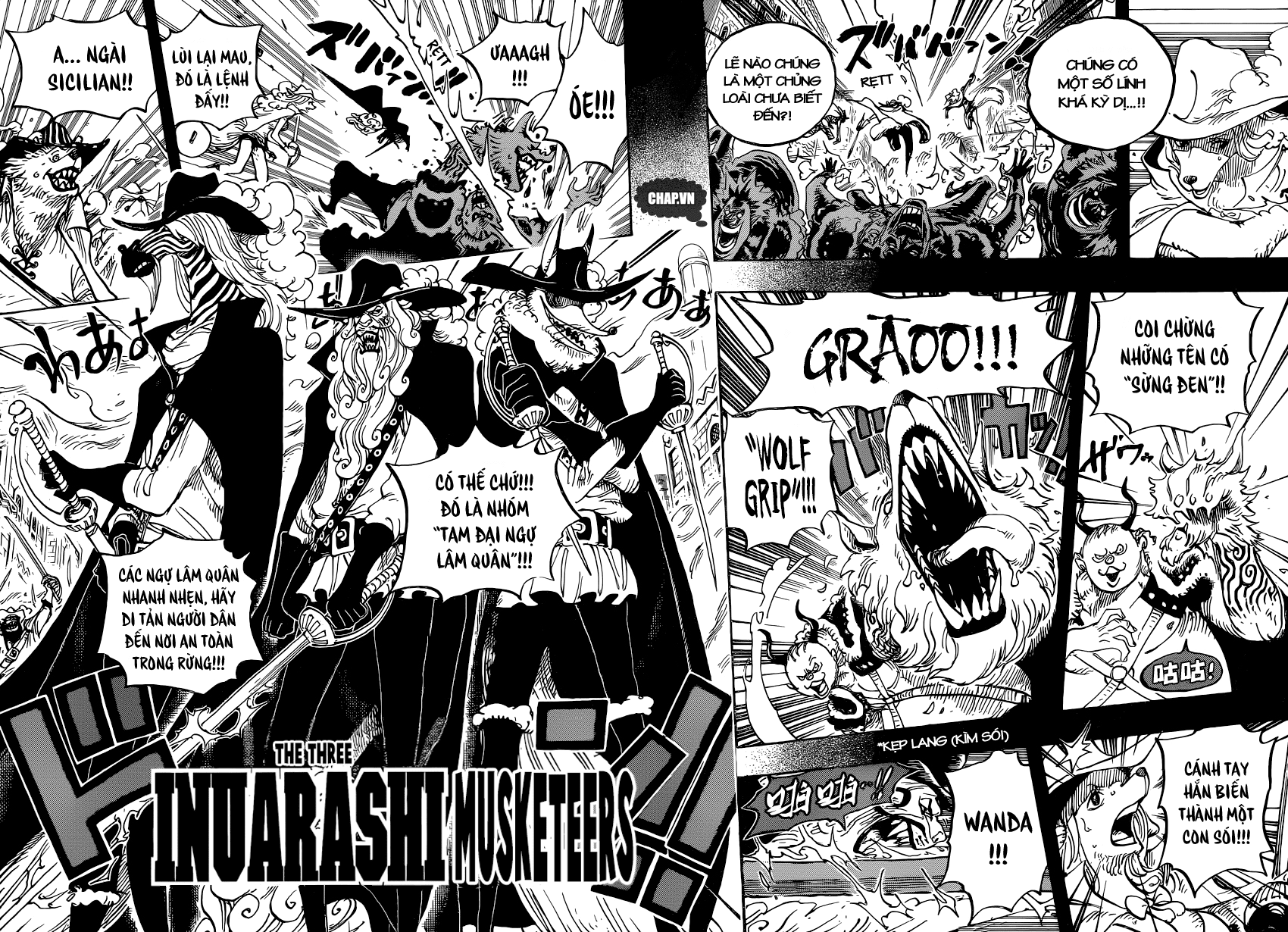 One Piece Chapter 809 - Trang 8