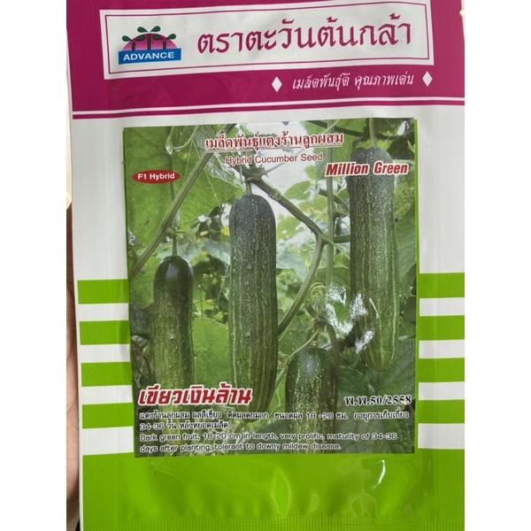 Hạt giống dưa chuột milion Thái Lan