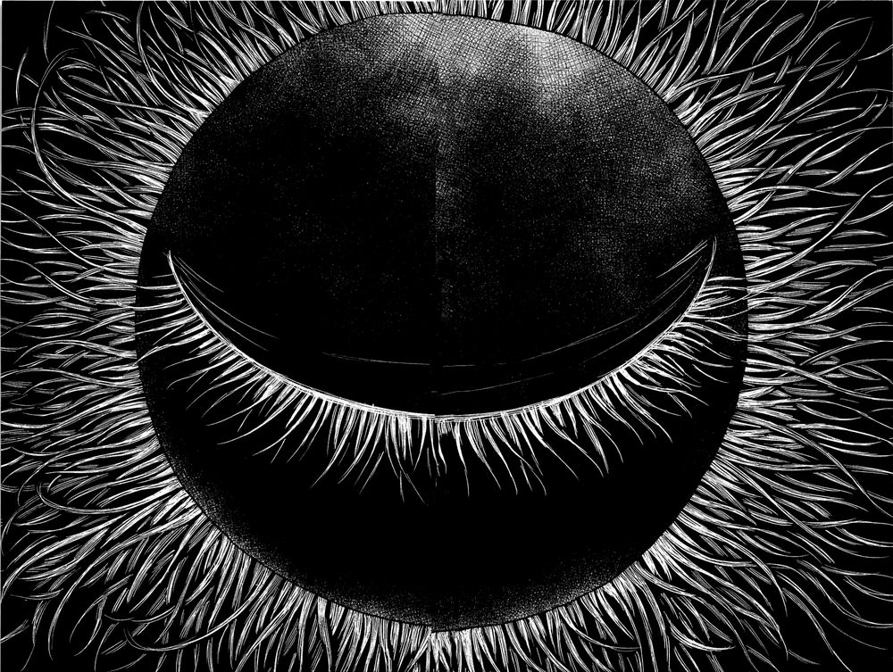 aku no hana chapter 33 39