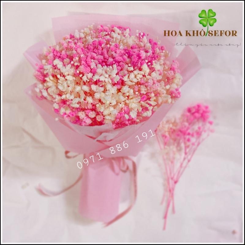 Bó hoa baby Hồng cao cấp️HOA KHÔ SEFOR️ trang trí, làm quà tặng