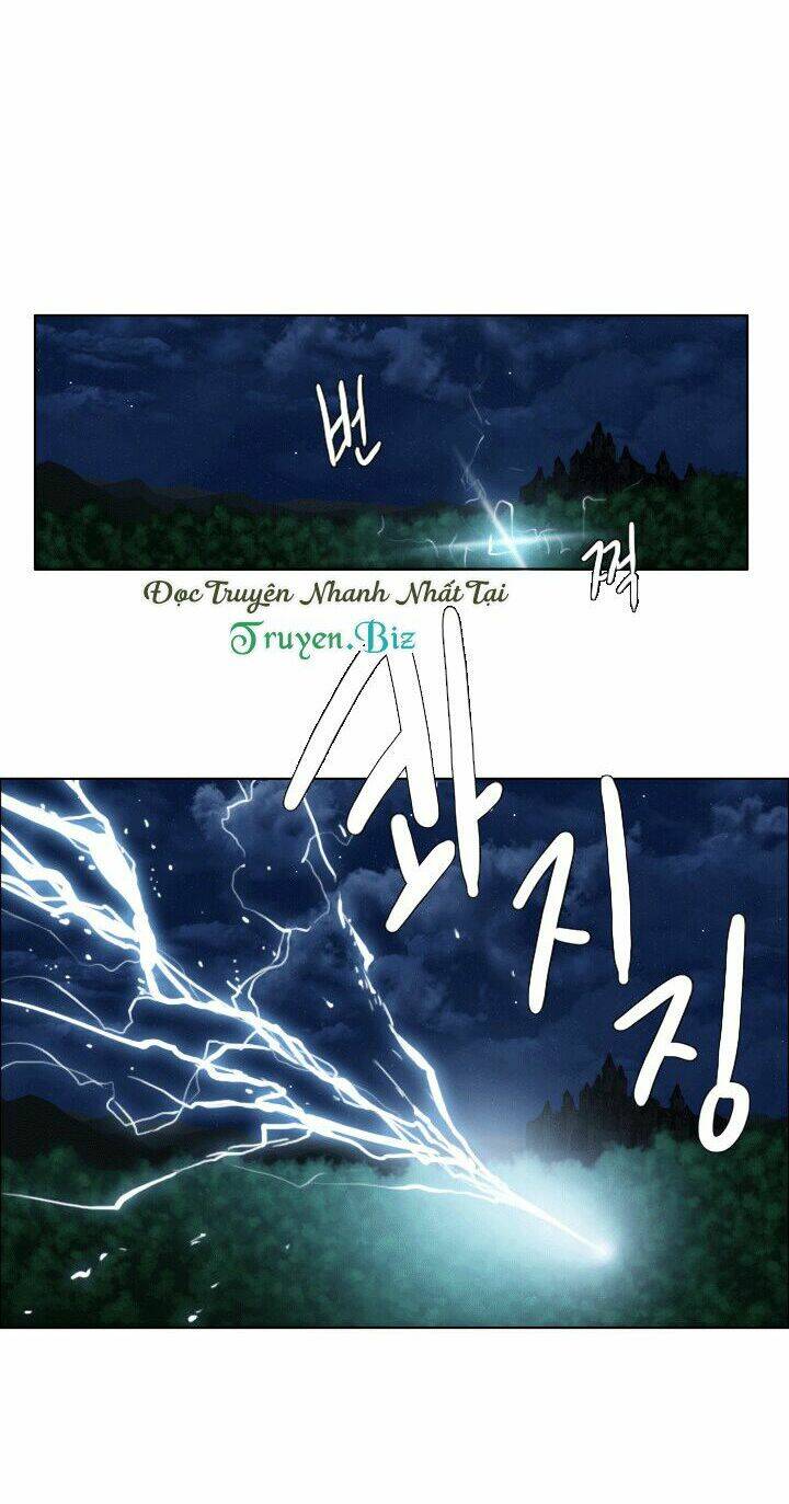 m. m. g. chapter 11 23