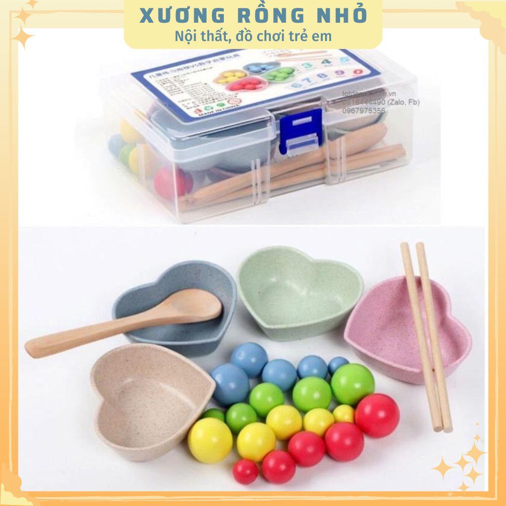 Đồ Chơi Gắp Bi Gỗ - Giáo Cụ Montessori Luyện Vận Động Tinh, Sự Khéo Léo, Tập Trung Cho Bé