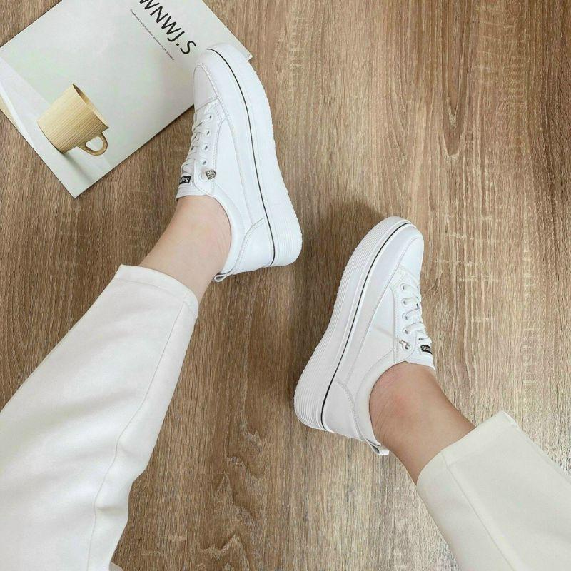 (free ship) giày sneaker nữ