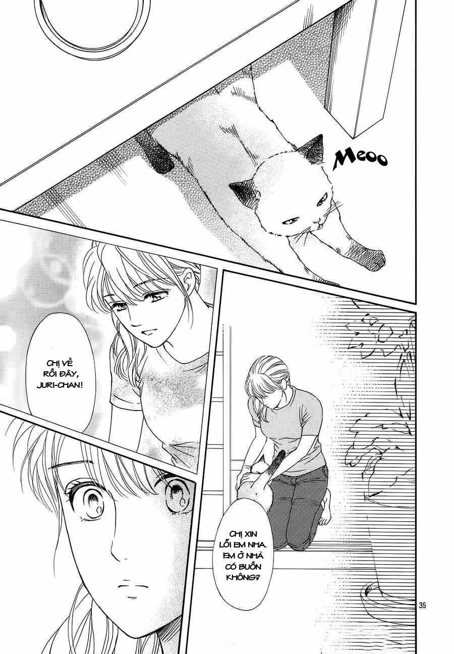 sumika sumire chapter 34 36