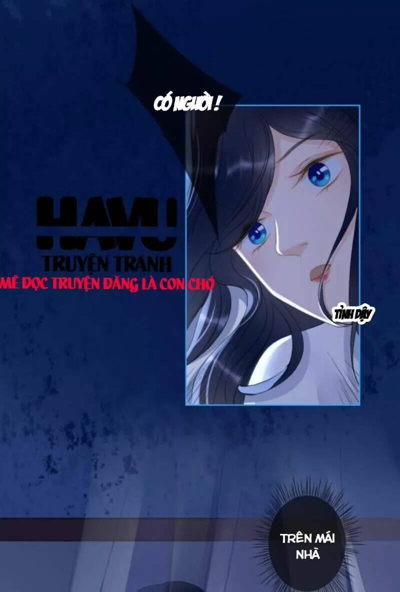 sủng phi của vương chapter 146 6