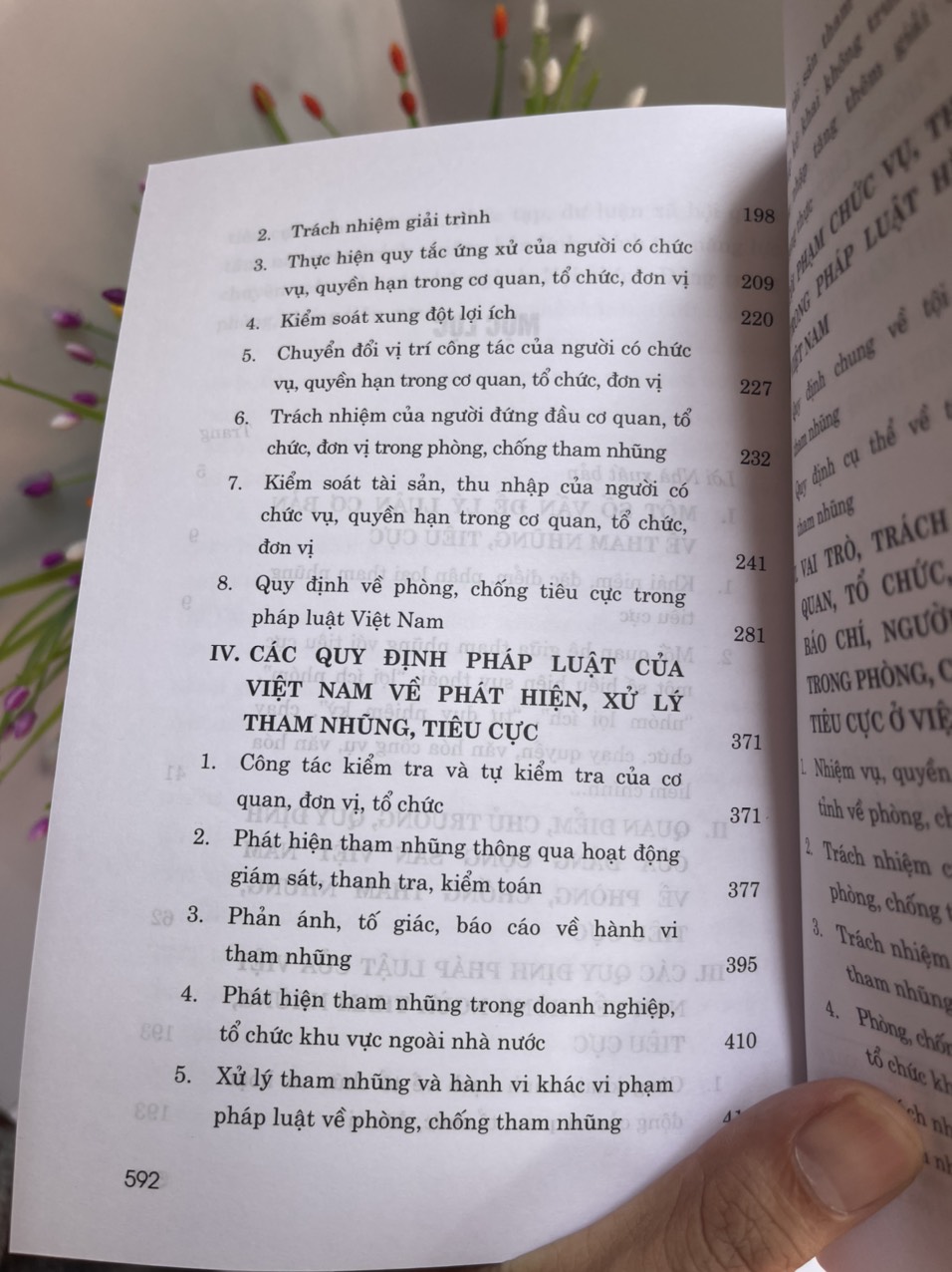 HỎI – ĐÁP VỀ PHÒNG, CHỐNG THAM NHŨNG, TIÊU CỰC Ở VIỆT NAM  – TS. Nguyễn Xuân Trường - NXB Chính trị Quốc gia sự thật