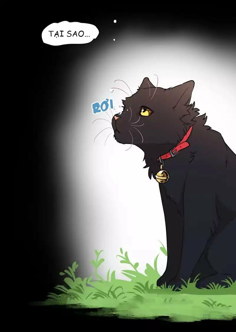 lumine - cội nguồn ánh sáng chapter 37 29