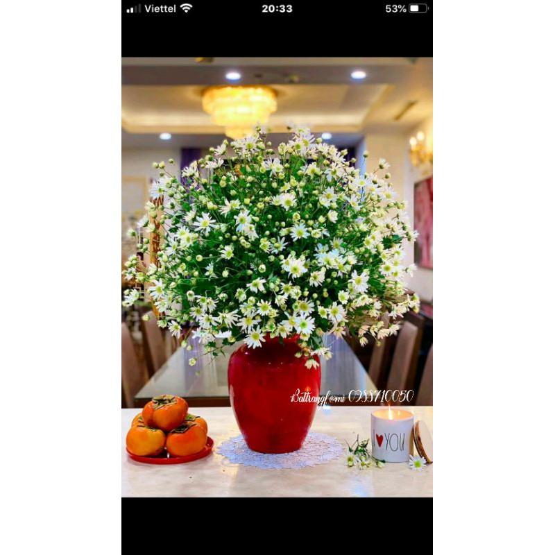 Bình hoa đỏ gốm decor