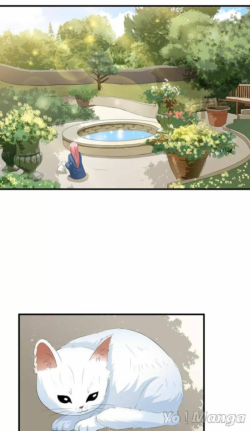 cô dâu gả thay của tổng tài chapter 53 14