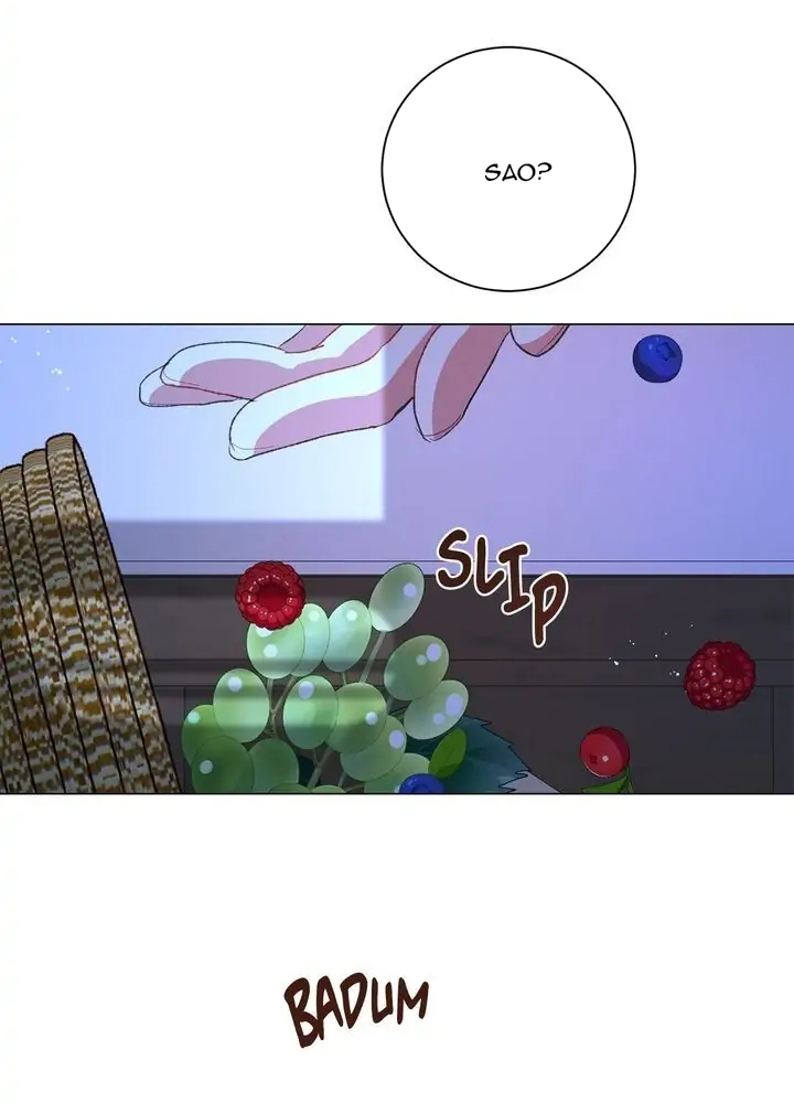 tôi là fan cứng hoàng tử chapter 65.1 13