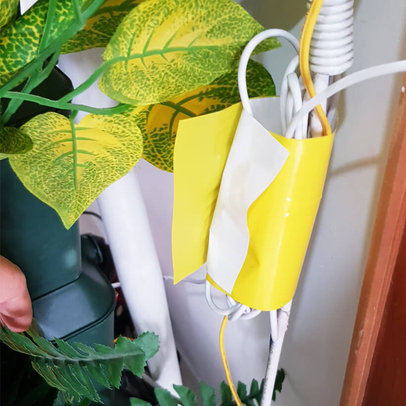 Bẫy Ruồi Nông Nghiệp gây hại Rau Hoa Củ Quả đạt hiệu quả 90% bằng Cuộn Keo Dính Vàng 2 mặt keo , thời gian hiệu lực trên 8 tháng chịu mưa nắng