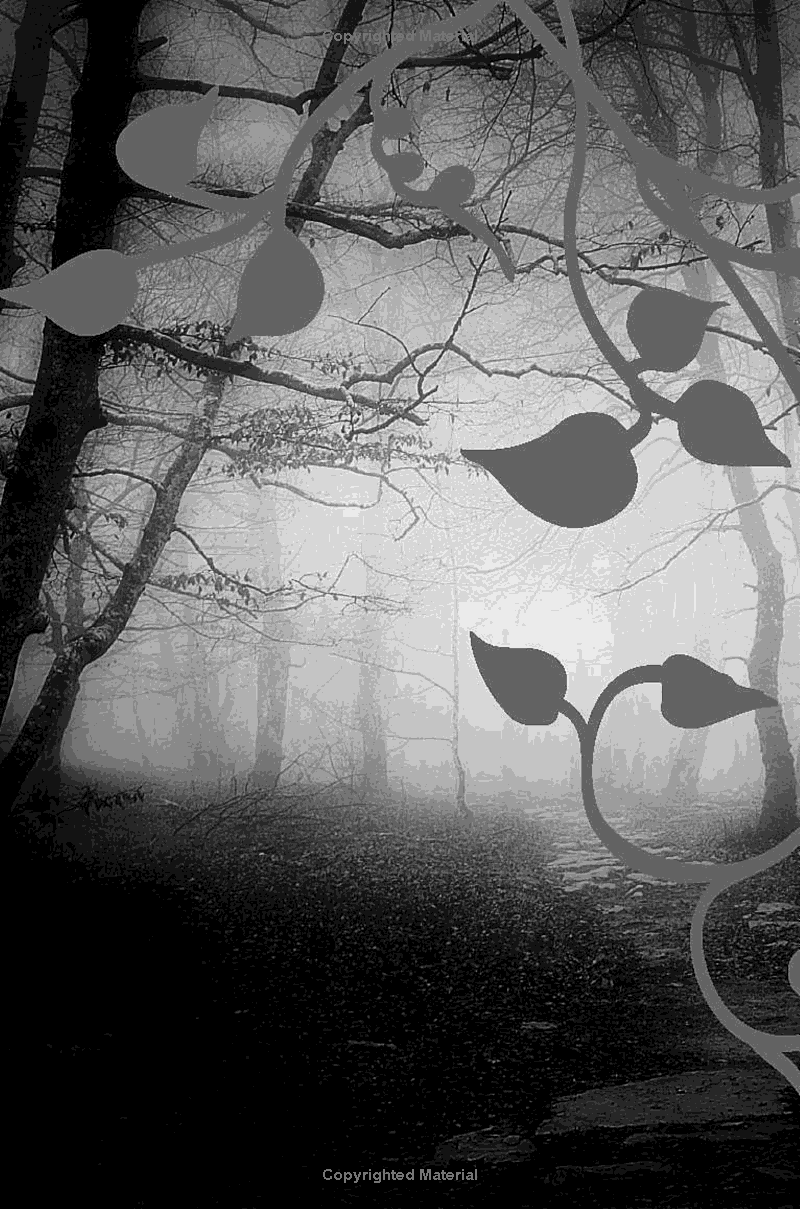 Sách ngoại văn: The Wolf And The Woodsman (Deluxe Collector's Edition)