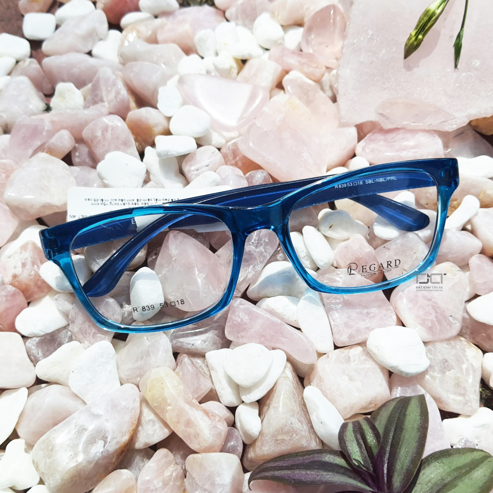 GỌNG KÍNH CẬN UNISEX, CHÍNH HÃNG REGARD R839-SBL-NBL/PRL