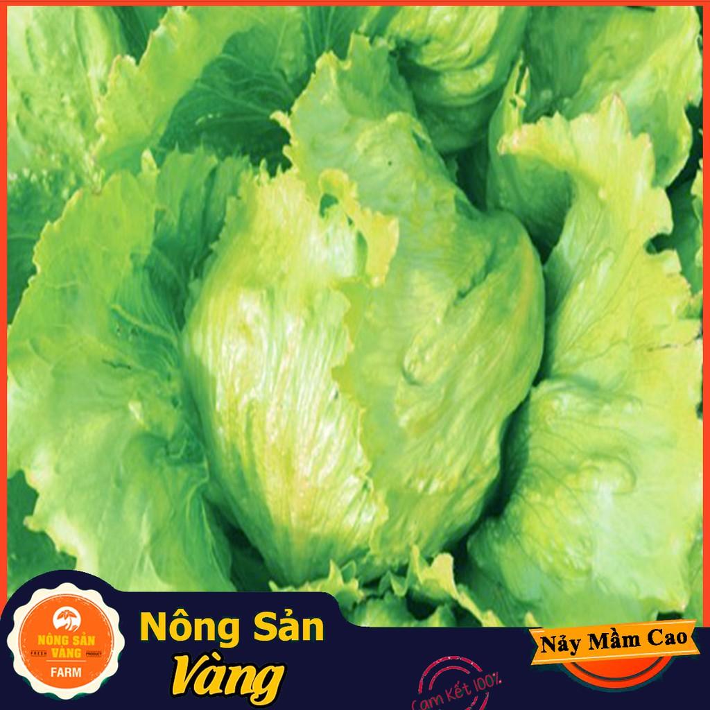 Hạt giống Xà Lách Mỹ Minetto - Nông Sản Vàng