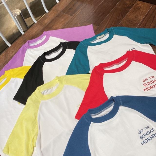 Áo ngắn 6 màu xinh