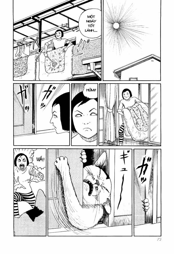 ito junji cat's diary chapter 7 4
