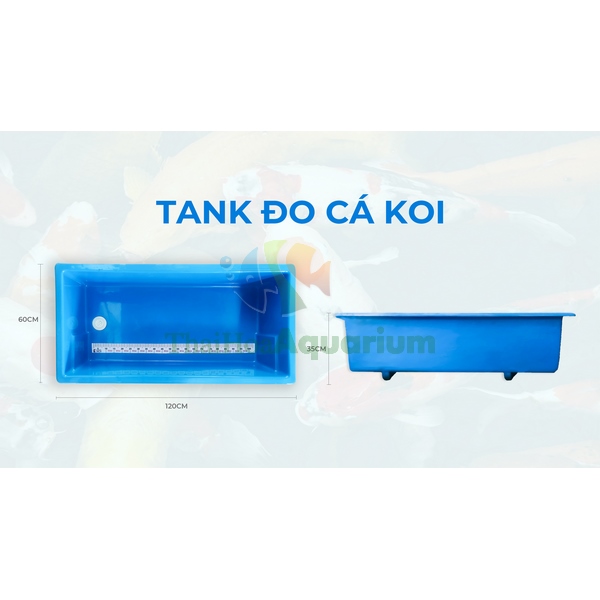 Tank đo cá 120x60x35cm