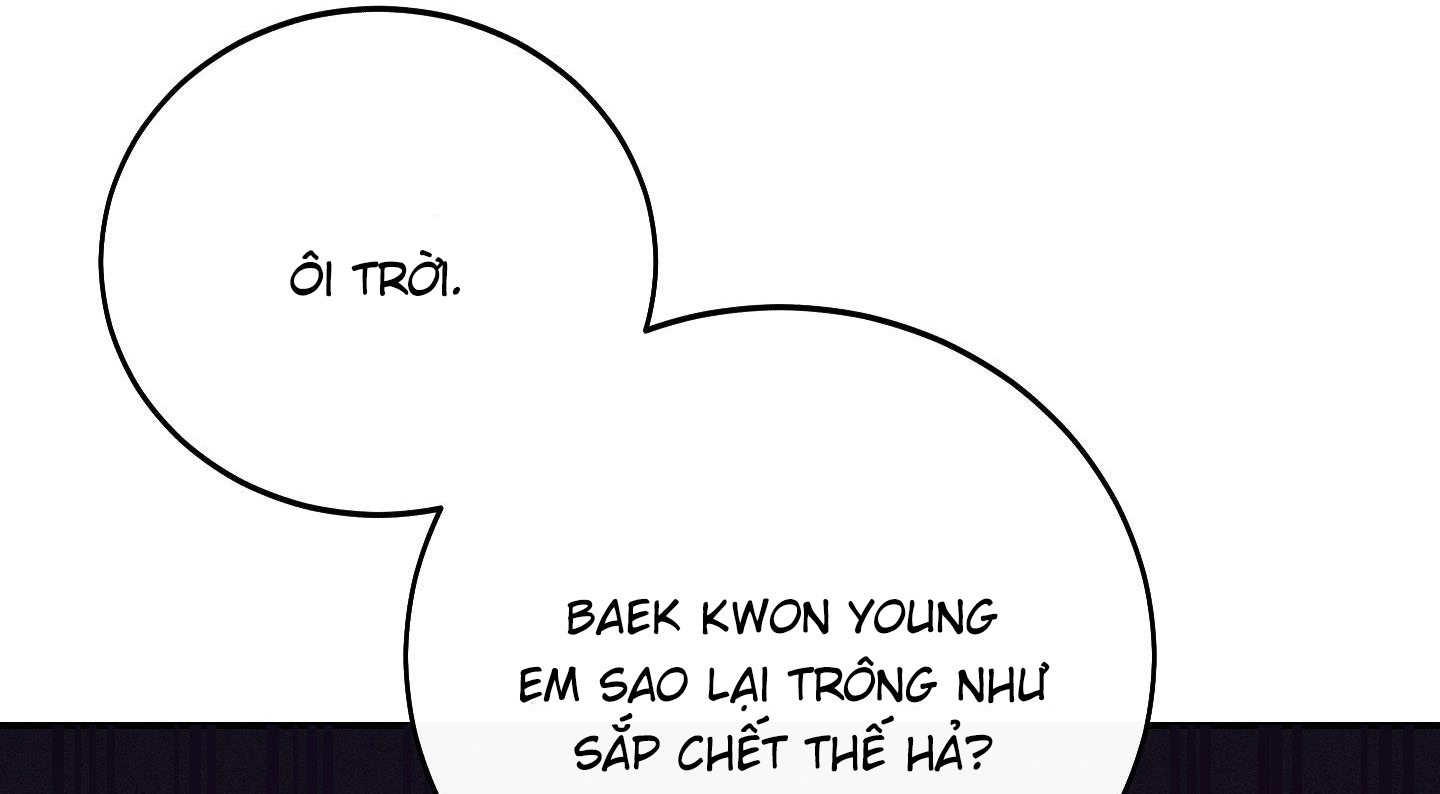 lãng mạn giả dối chapter 30 29