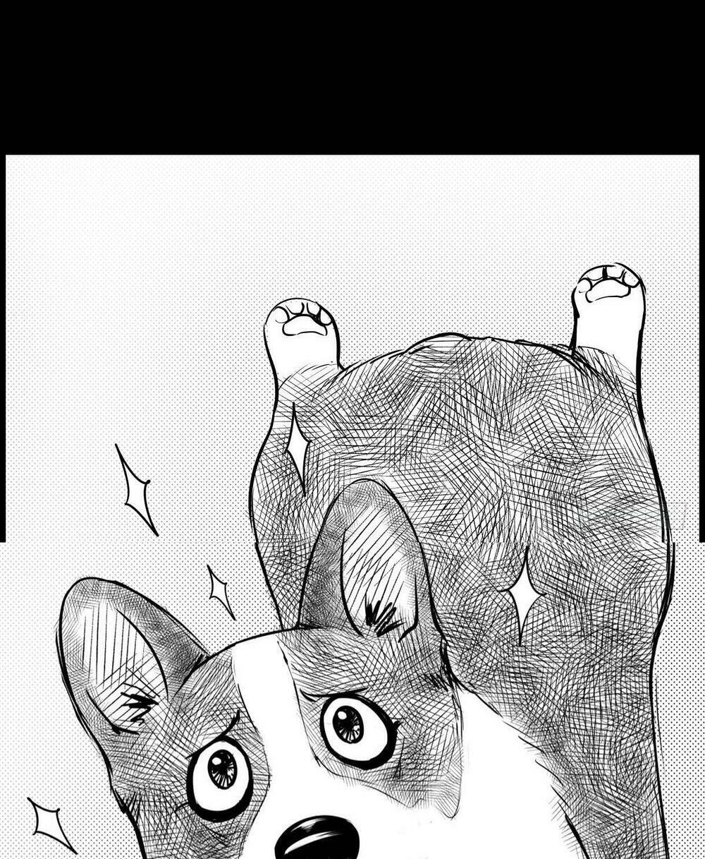 dạ hành khuyển chapter 6 69