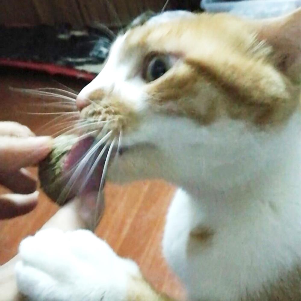 Bóng Bạc Hà Đồ Chơi Nhai Làm Sạch Răng Cho Thú Cưng