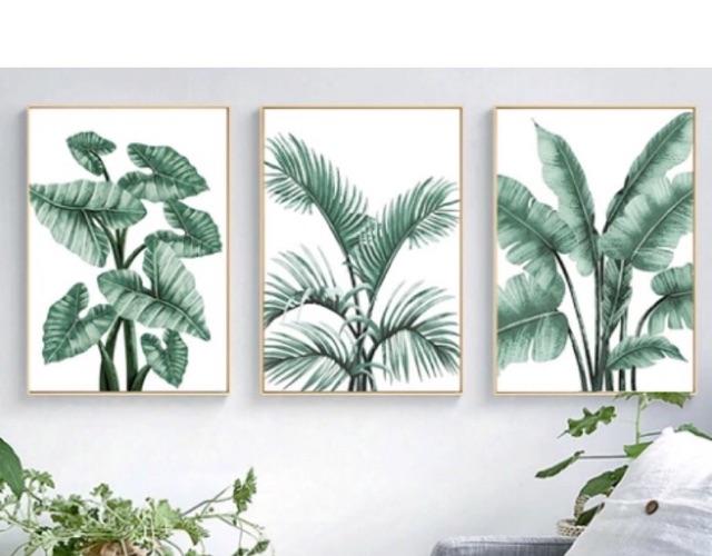 Tranh treo tường Tranh CANVAS bộ 3 hoa lá kích thước 40*50