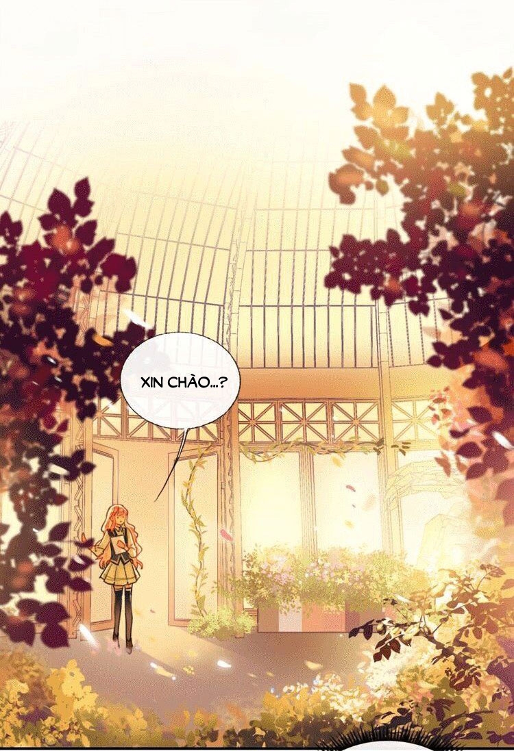 cướp bóc ngọt ngào chapter 3 45