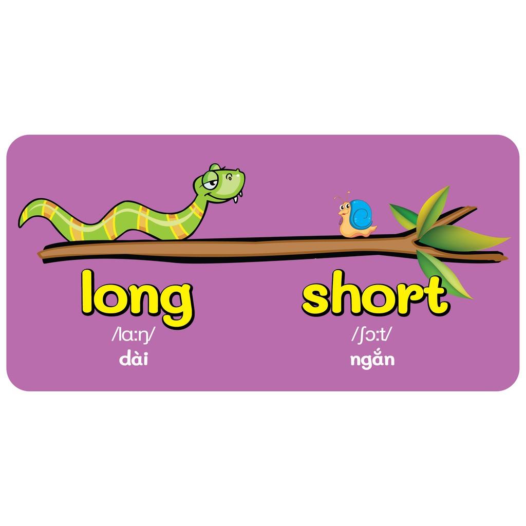Sách - Baby'S First Picture Dictionary - Từ Điển Bằng Hình Đầu Tiên Của Bé - Đối lập - Oppotile -