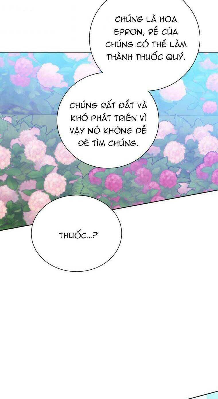 bước tới con đường hoa chapter 49 32